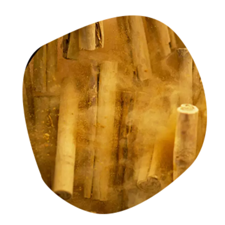 Our Cereal Ingredients Nutrition Facts & Benefits Nestlé Cereals